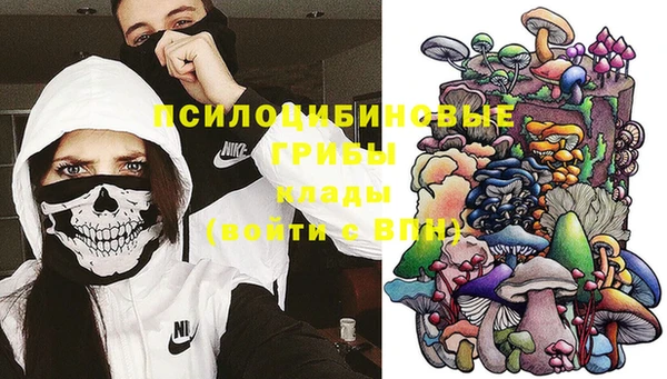 прущий лед Алексин