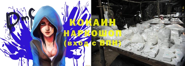 a pvp Алзамай